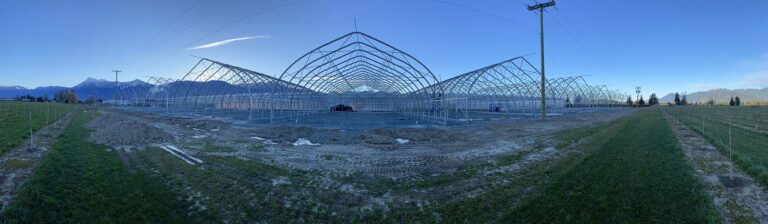 Updynamic Fraser Valley Greenhouses Bc 2020 010